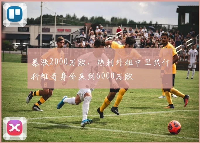 暴涨2000万欧，热刺外租中卫武什科维奇身价来到6000万欧