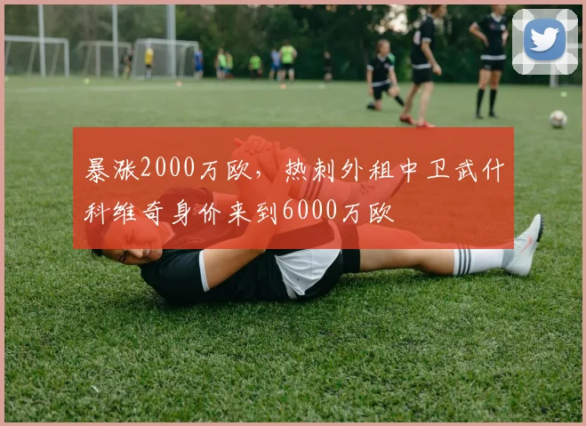 暴涨2000万欧，热刺外租中卫武什科维奇身价来到6000万欧
