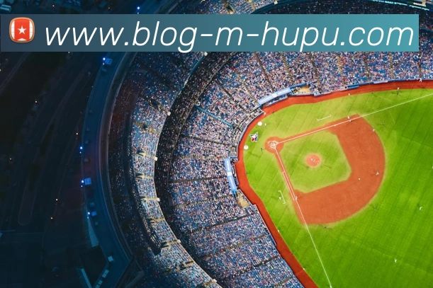 虎扑体育服务体系